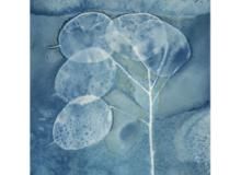 Jenny Neale
